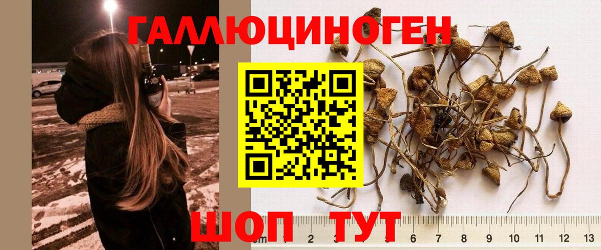 даркнет сайт  Галлюциногенные грибы прущие грибы  Вход с VPN  Старый Оскол 