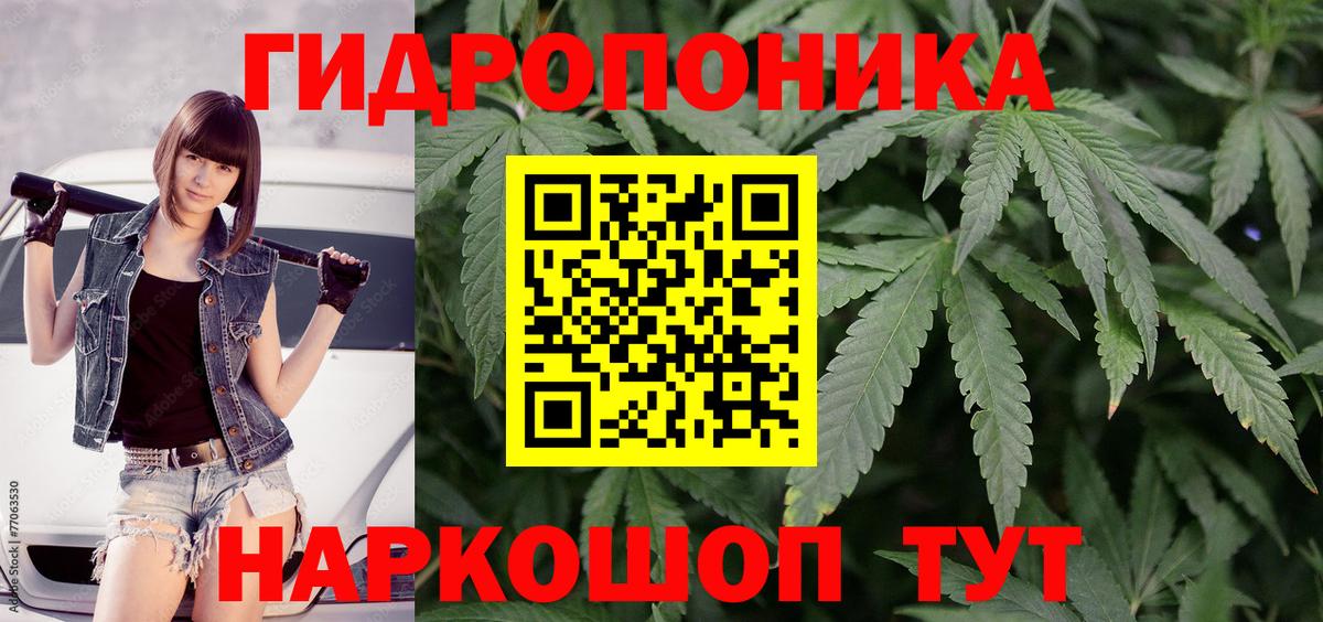 Бошки Шишки Amnesia  Вход с VPN  Марихуана планчик  Старый Оскол  Бошки марихуана семена 